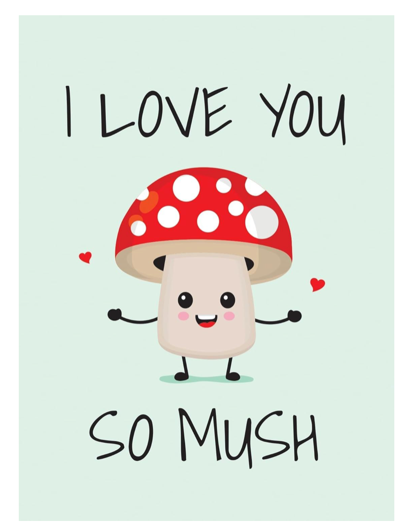 I LOVE YOU SO MUSH