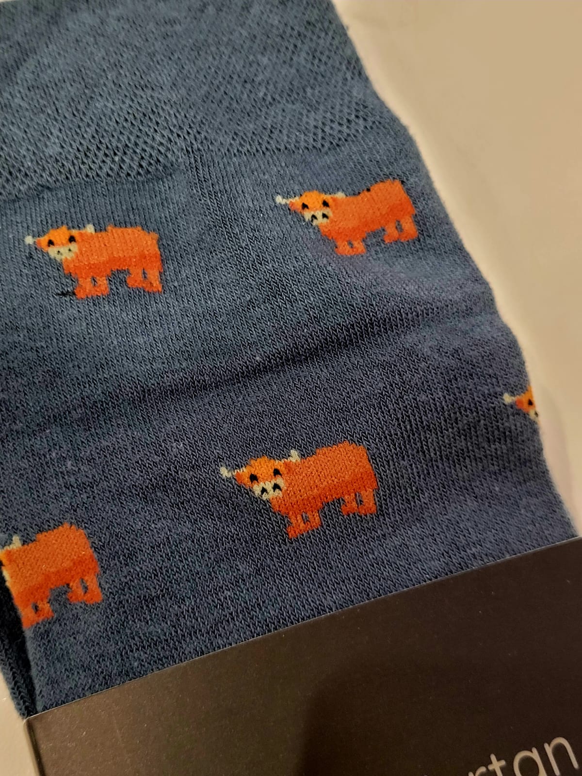 Highland Cow Socks (Blue)