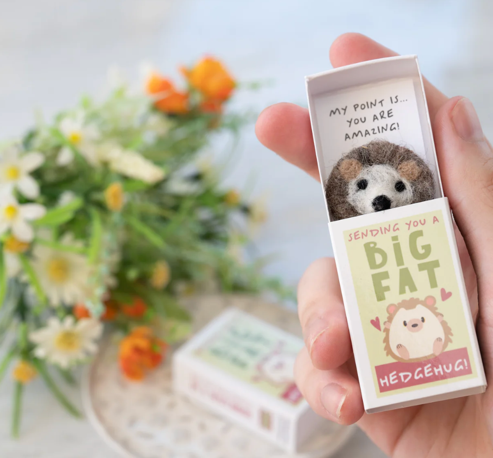 Sending You A 'Hedgehug' In A Matchbox