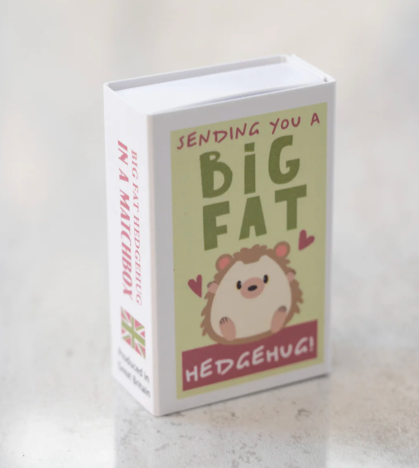 Sending You A 'Hedgehug' In A Matchbox